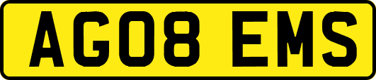 AG08EMS