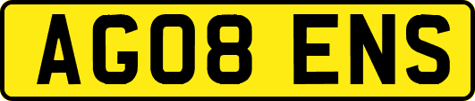AG08ENS
