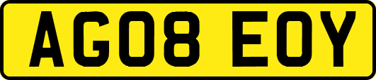 AG08EOY