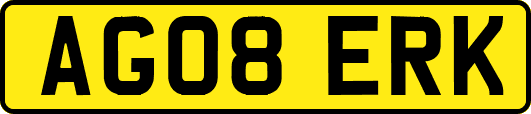 AG08ERK