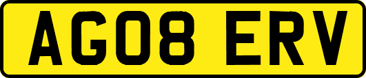 AG08ERV