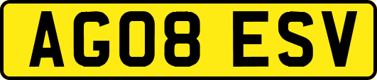 AG08ESV