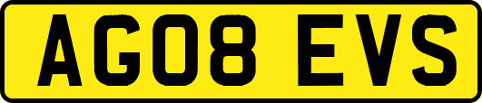 AG08EVS