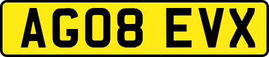AG08EVX