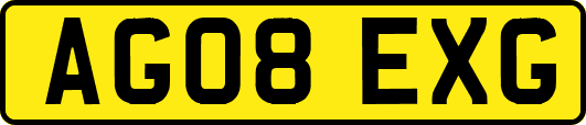 AG08EXG
