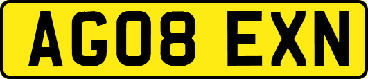 AG08EXN