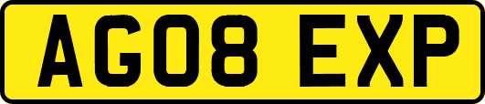 AG08EXP