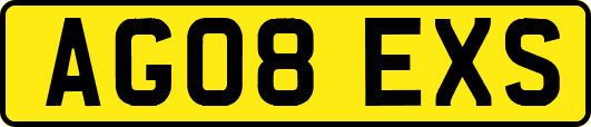 AG08EXS
