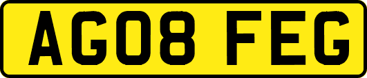 AG08FEG