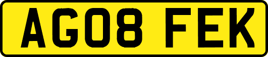 AG08FEK