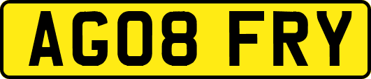 AG08FRY