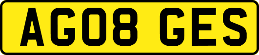 AG08GES