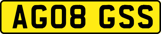 AG08GSS