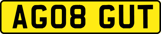 AG08GUT