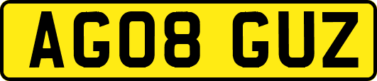 AG08GUZ