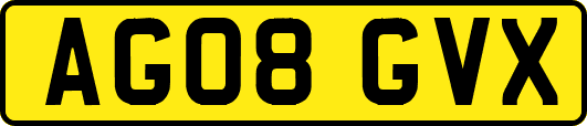 AG08GVX