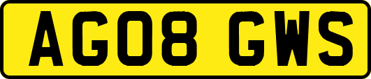 AG08GWS