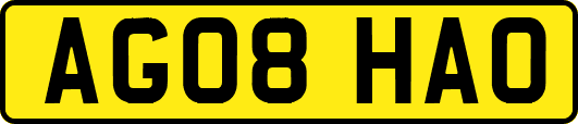 AG08HAO