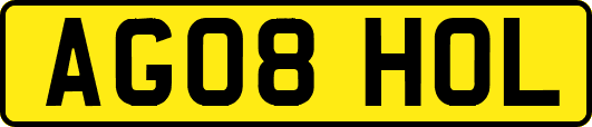 AG08HOL