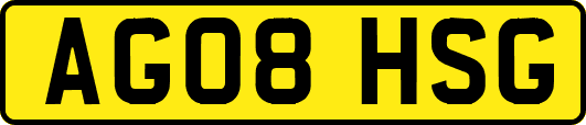 AG08HSG