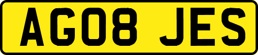 AG08JES