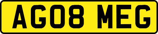 AG08MEG