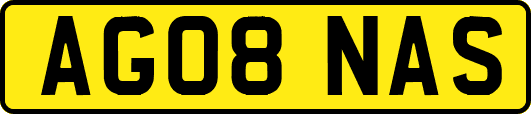 AG08NAS