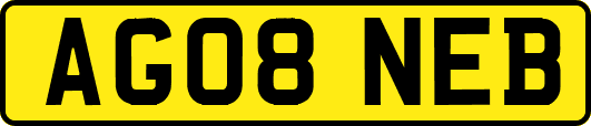 AG08NEB