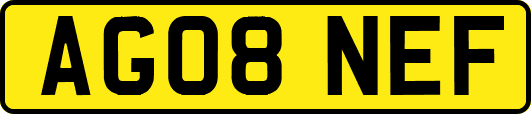 AG08NEF