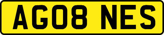 AG08NES