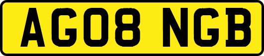 AG08NGB