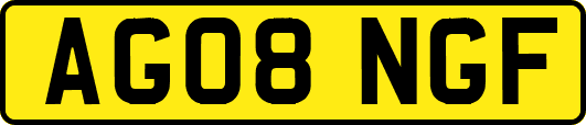 AG08NGF