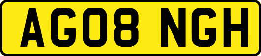 AG08NGH