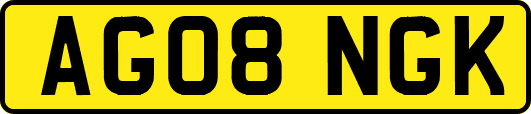 AG08NGK