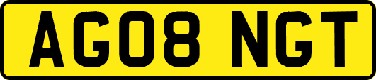 AG08NGT