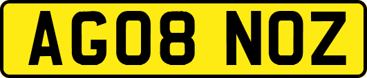 AG08NOZ