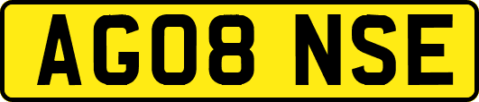 AG08NSE