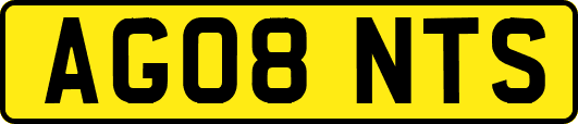AG08NTS