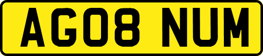 AG08NUM