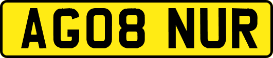 AG08NUR