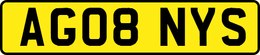 AG08NYS