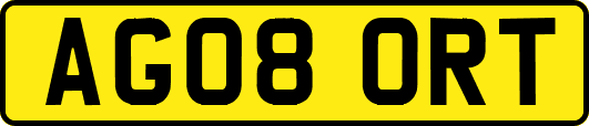 AG08ORT