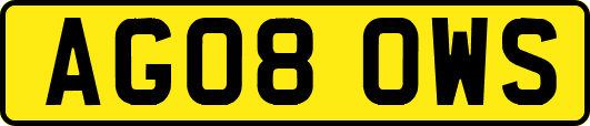 AG08OWS