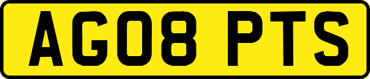 AG08PTS