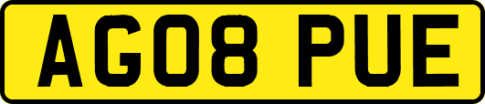 AG08PUE