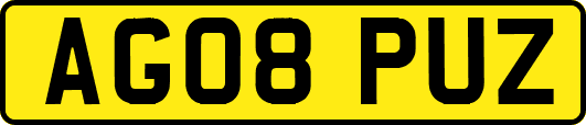 AG08PUZ