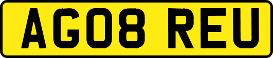 AG08REU
