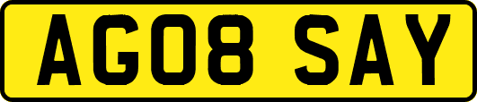 AG08SAY