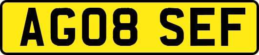 AG08SEF