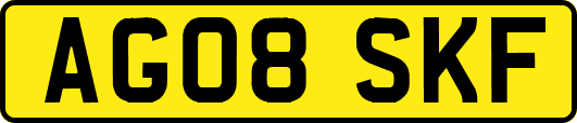 AG08SKF